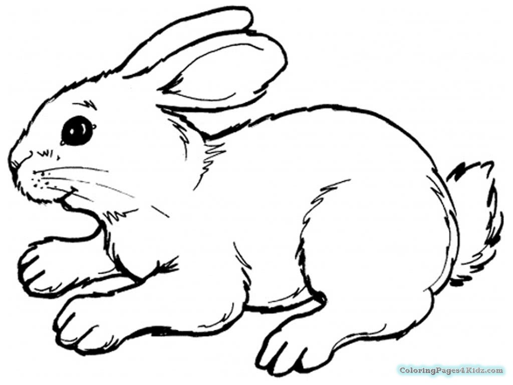 1024x768 Bunny Coloring Pages Simple Coloring Pages For Kids