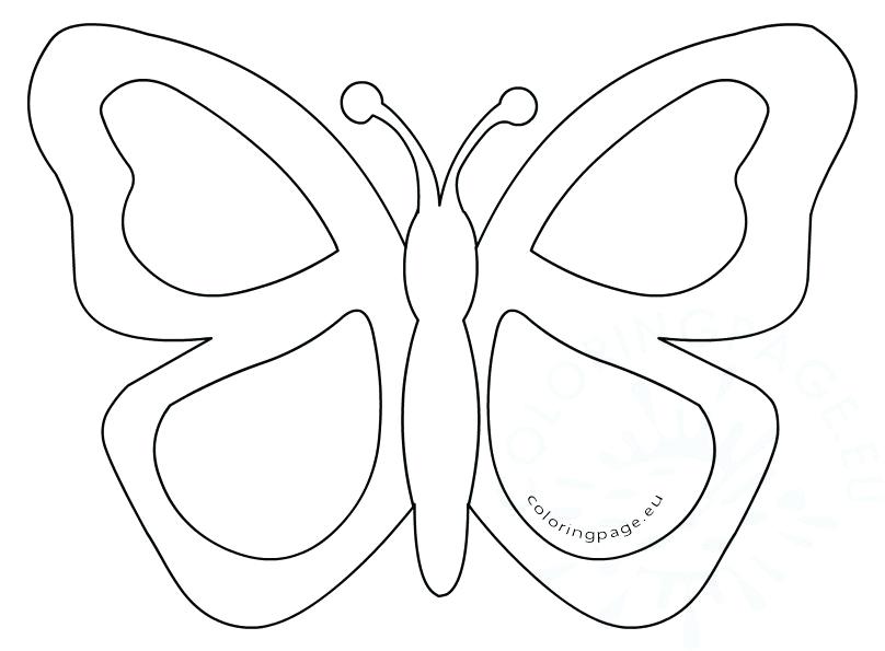 808x595 Simple Butterfly Coloring Pages Simple Butterfly Stained Glass
