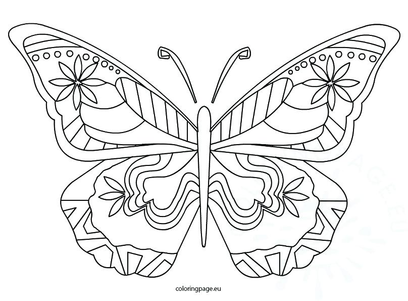 808x595 Butterfly Coloring Page Butterfly Coloring Sheets Butterflies