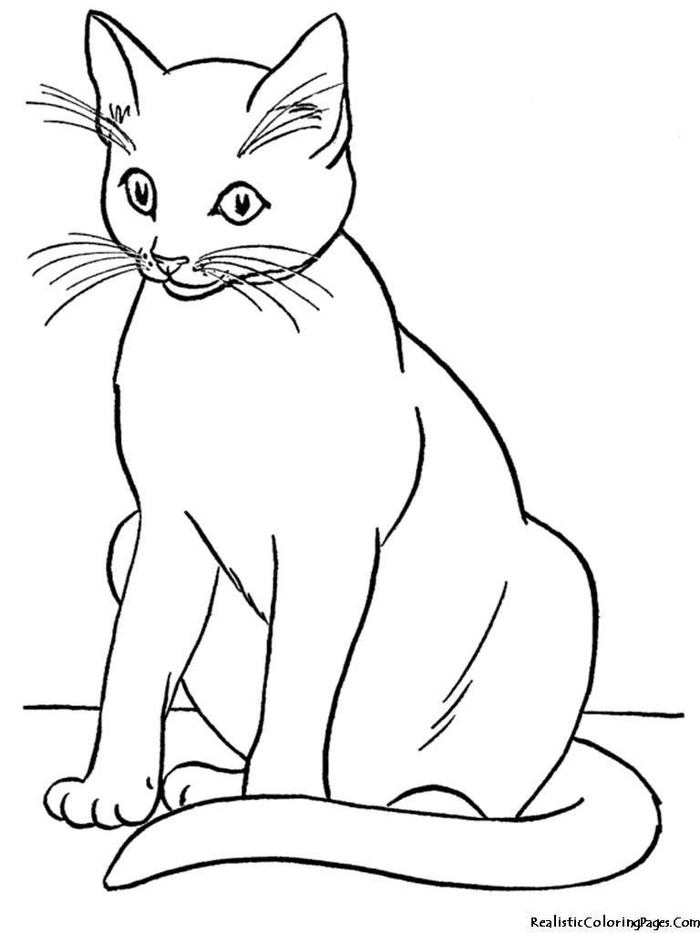 10 Simple Cat Coloring Pages for Animal Lovers