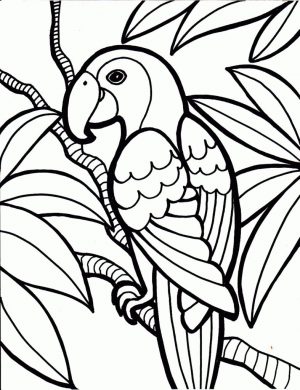 Simple Coloring Pages 300x390 Simple Coloring Pages