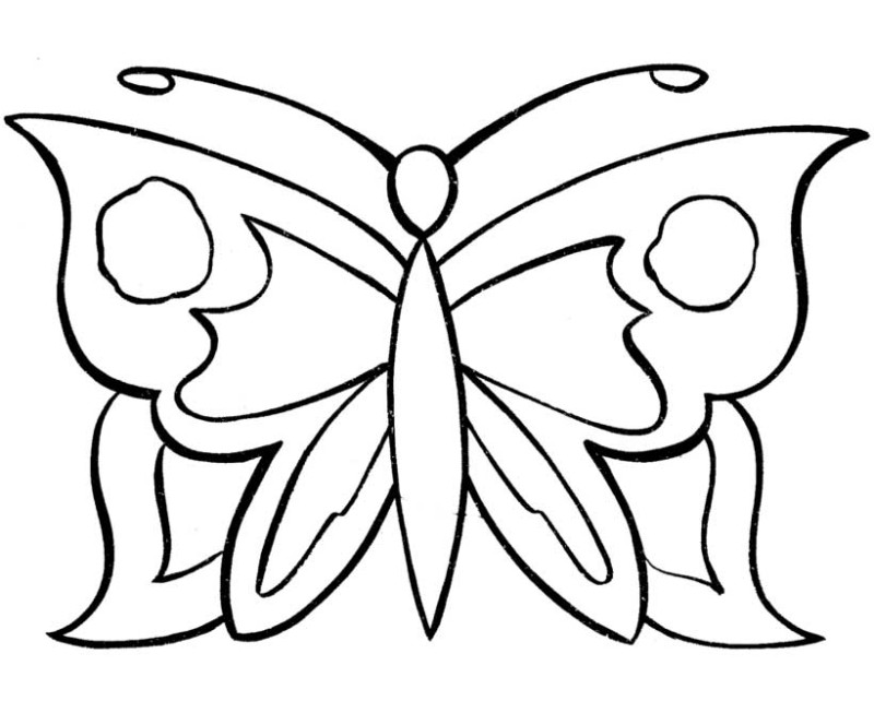 Simple Coloring Sheets Ant Llc Simple Coloring Pages In New 800x653 Simple Coloring Sheets Ant Llc Simple Coloring Pages In New