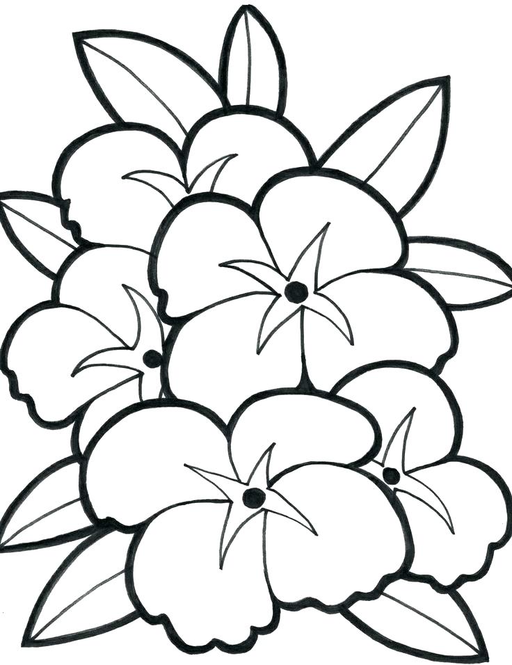 Flower Garden Coloring Pictures Easy Flower Coloring Pages Kids 736x956 Flower Garden Coloring Pictures Easy Flower Coloring Pages Kids