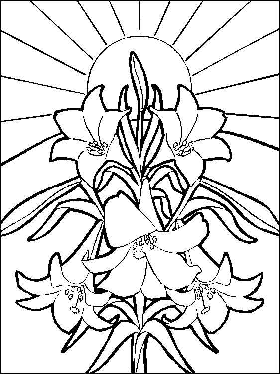 562x750 Coloring Pages For 12 Year Olds Impressive Coloring Pages For 12