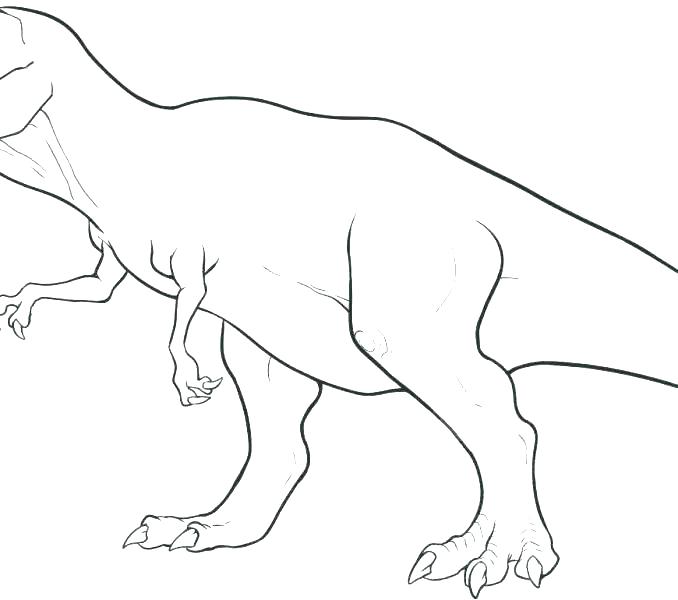 678x600 Free Dinosaur Coloring Pages Dinosaurs Coloring Page Printable