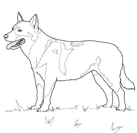 Dog Coloring Pages That You Can Print Dog To Color Simple Dog 480x464 Dog Coloring Pages That You Can Print Dog To Color Simple Dog