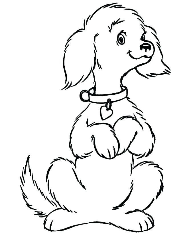 Free Coloring Pages Of Dogs Coloring Page Dog Color Pages Of Dogs 670x820 Free Coloring Pages Of Dogs Coloring Page Dog Color Pages Of Dogs
