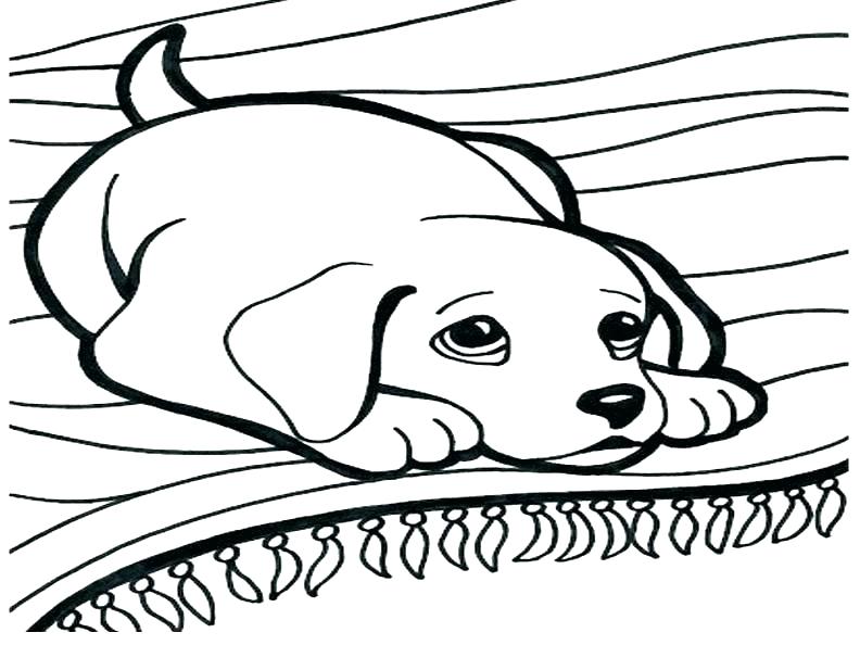 Color Pages Of Dogs Dog Coloring Sheets Free Printable Free Dog 792x594 Color Pages Of Dogs Dog Coloring Sheets Free Printable Free Dog