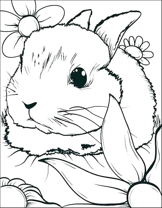 Easter Bunny Coloring Pages Free Printable Bunnies Coloring Pages 543x700 Easter Bunny Coloring Pages Free Printable Bunnies Coloring Pages