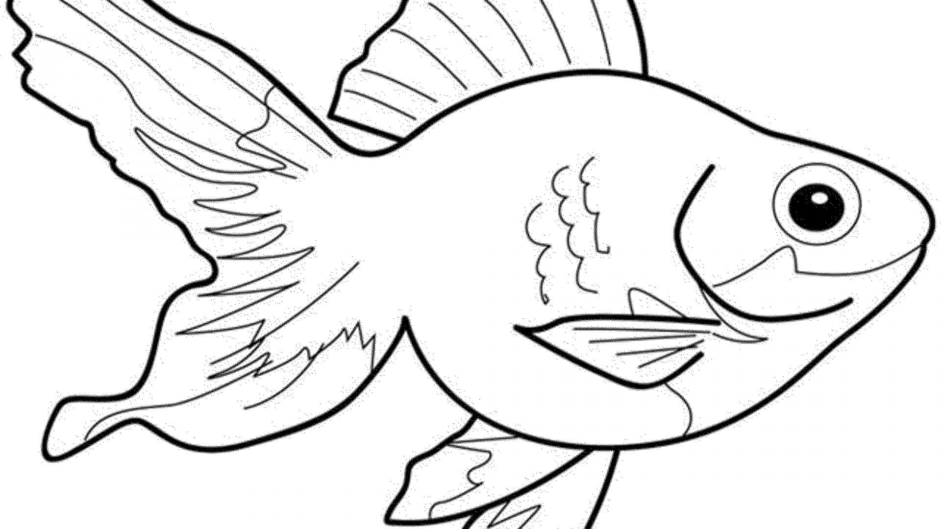 Remarkable Football Fish Coloring Page Popular Color Top Ideas 1920x1080 Remarkable Football Fish Coloring Page Popular Color Top Ideas