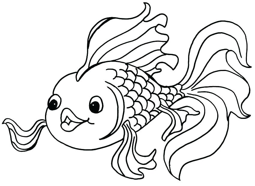 Small Gold Fish Coloring Pages Drawing Goldfish And Various 850x618 Small Gold Fish Coloring Pages Drawing Goldfish And Various