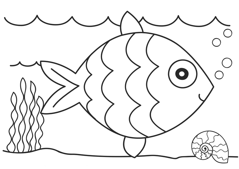 Printable 25 Simple Fish Coloring Pages 5076 Golden Fish Simple 775x550 Printable 25 Simple Fish Coloring Pages 5076 Golden Fish Simple