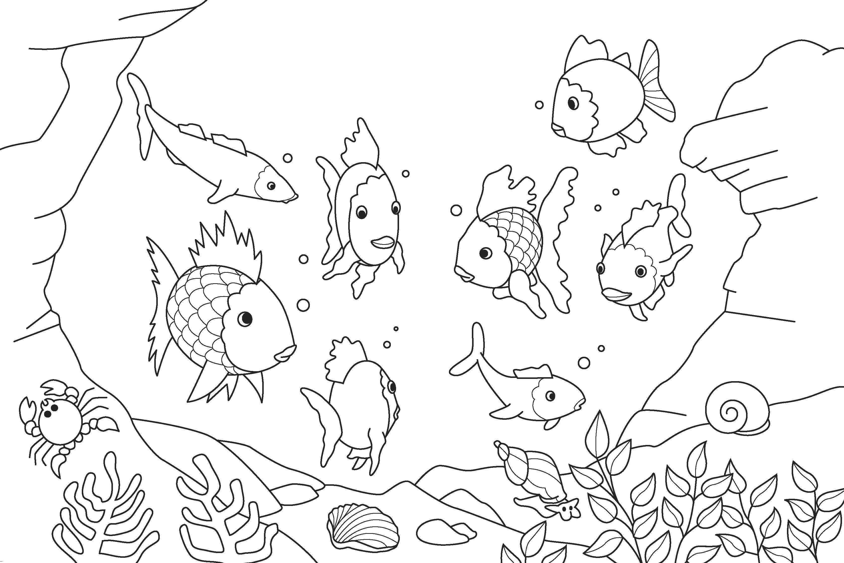 Easy Coloring Pages Of Fish Fresh Rainbow Fish Coloring Page 3386x2260 Easy Coloring Pages Of Fish Fresh Rainbow Fish Coloring Page