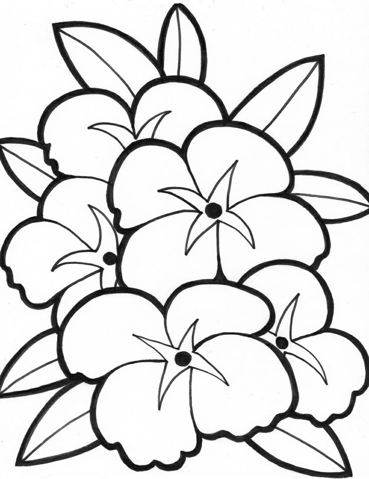 Flower Coloring Page Luxury Simple Flower Coloring Pages Coloring 736x956 Flower Coloring Page Luxury Simple Flower Coloring Pages Coloring