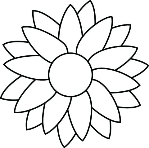 Simple Flower Coloring Pages Best Sunflower Simple Flower Pencil 480x478 Simple Flower Coloring Pages Best Sunflower Simple Flower Pencil