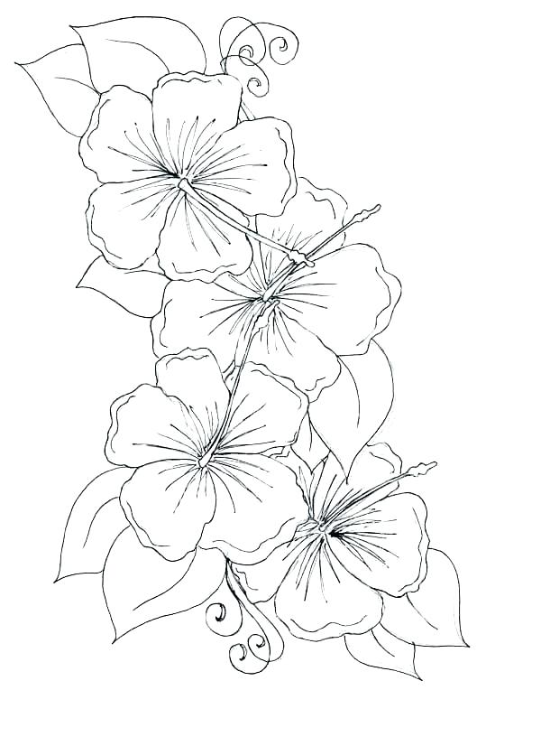 Simple Flower Coloring Pages Coloring Pages For Kids Flowers 600x826 Simple Flower Coloring Pages Coloring Pages For Kids Flowers