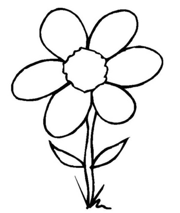 Simple Flower Coloring Pages Kids 600x710 Simple Flower Coloring Pages Kids