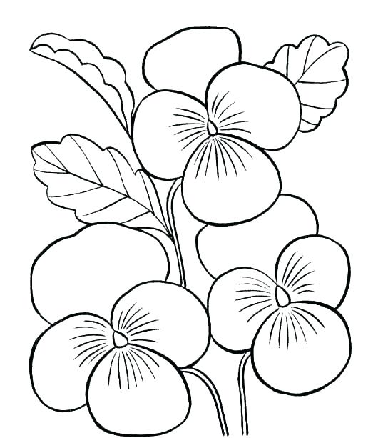 Coloring Pages Flowers Printable Deepart 530x613 Coloring Pages Flowers Printable Deepart