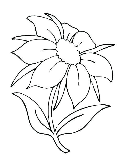 Colouring Pages Of Simple Flowers Free Printable Flower Coloring 548x685 Colouring Pages Of Simple Flowers Free Printable Flower Coloring