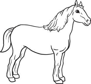 Free Horses Coloring Pages For Kids 310x287 Free Horses Coloring Pages For Kids