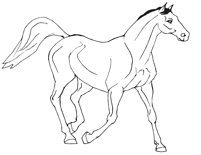 Free Printable Horse Coloring Pages For Kids 854x660 Free Printable Horse Coloring Pages For Kids