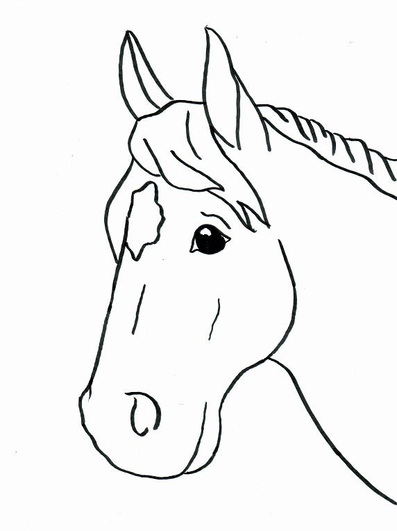 Best Photos Of Simple Horse Coloring Pages 572x764 Best Photos Of Simple Horse Coloring Pages