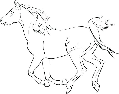 Wild Horse Coloring Pages Simple Horse Coloring Pages Realistic 504x397 Wild Horse Coloring Pages Simple Horse Coloring Pages Realistic