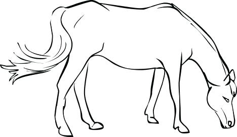Coloring Page Of A Horse Simple Seahorse Coloring Page 468x271 Coloring Page Of A Horse Simple Seahorse Coloring Page