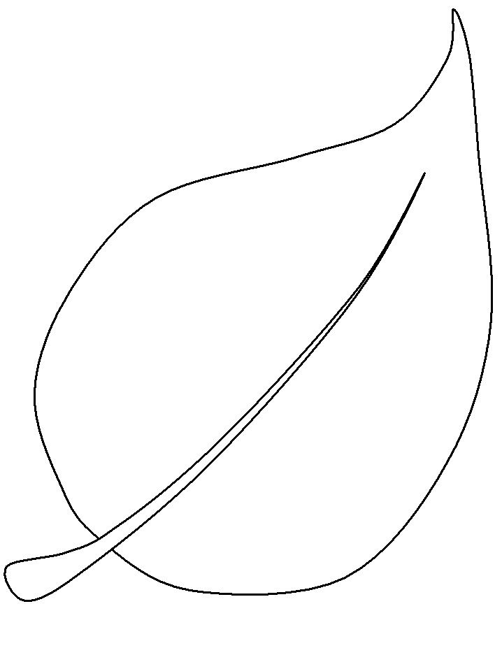 Simple Leaf Outline Printable 718x957 Simple Leaf Outline Printable