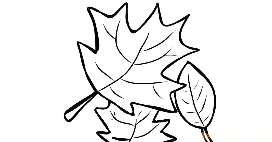 Fall Leaves Coloring Pages Also Leaf Coloring Page Autumn Leaves 1120x584 Fall Leaves Coloring Pages Also Leaf Coloring Page Autumn Leaves