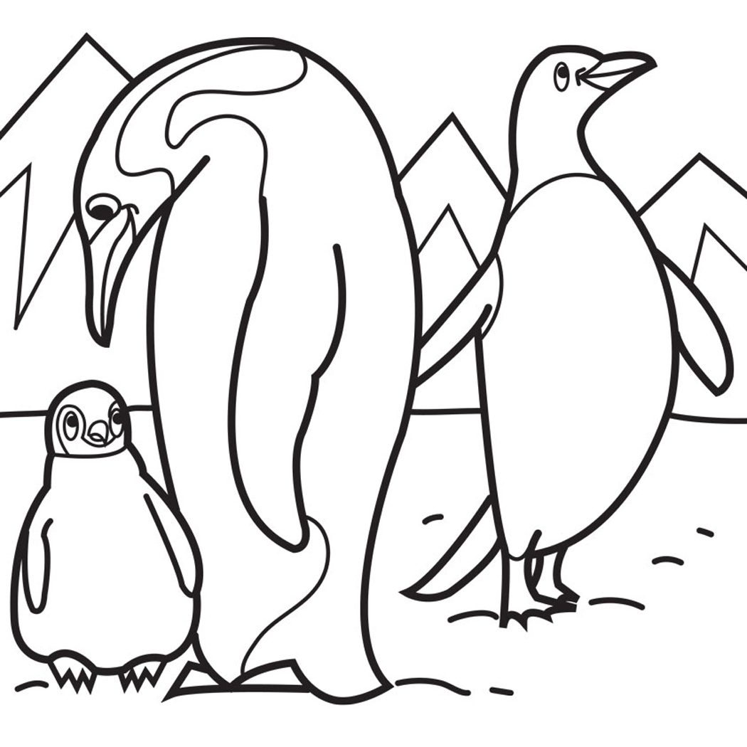 1050x1050 Penguin Coloring Pages