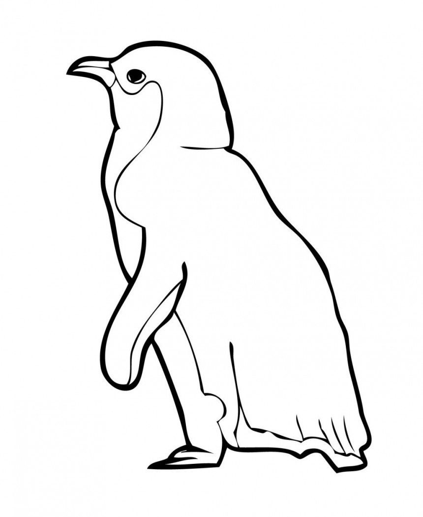 860x1050 Bird Coloring Pages Of Penguin General Penguins Madagascar Pdf