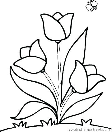 Images Of Coloring Pages Of Flowers Adult Coloring Pages Flowers 2 360x425 Images Of Coloring Pages Of Flowers Adult Coloring Pages Flowers 2