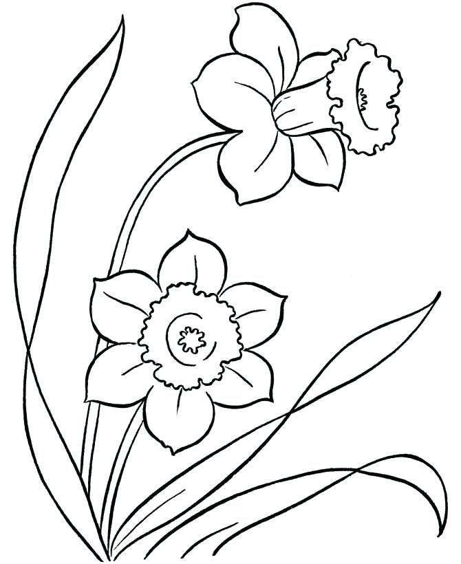 Inspirational Coloring Pages For Kids Flowers And Flower Coloring 670x820 Inspirational Coloring Pages For Kids Flowers And Flower Coloring