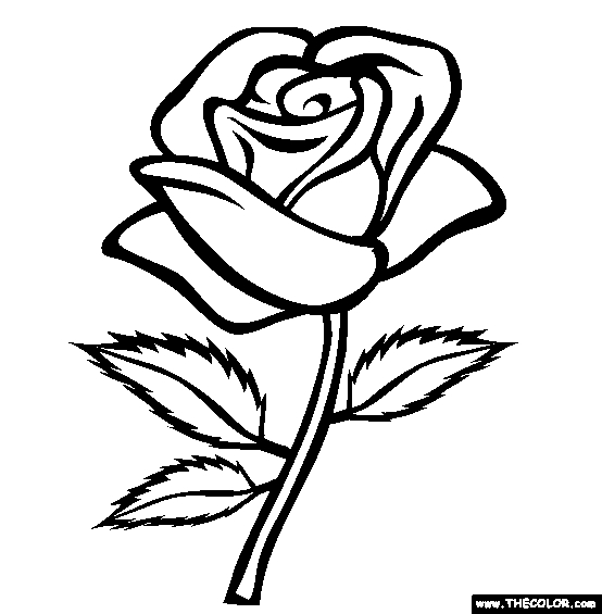 Rose Coloring Pages Simple Rose Coloring Pages Preschool To Sweet 554x565 Rose Coloring Pages Simple Rose Coloring Pages Preschool To Sweet