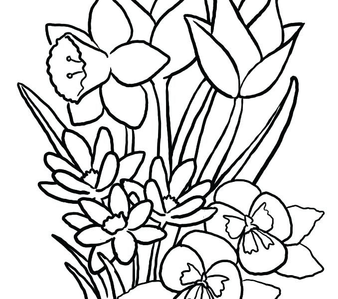 Simple Design Spring Flowers Coloring Pages Amazing Spring Flower 678x600 Simple Design Spring Flowers Coloring Pages Amazing Spring Flower