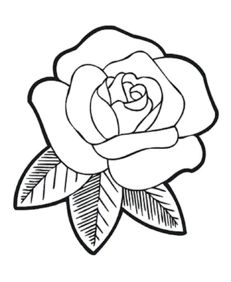 Simple Rose Coloring Pages Copy New Top 10 Easy Flower Free Kids 768x940 Simple Rose Coloring Pages Copy New Top 10 Easy Flower Free Kids