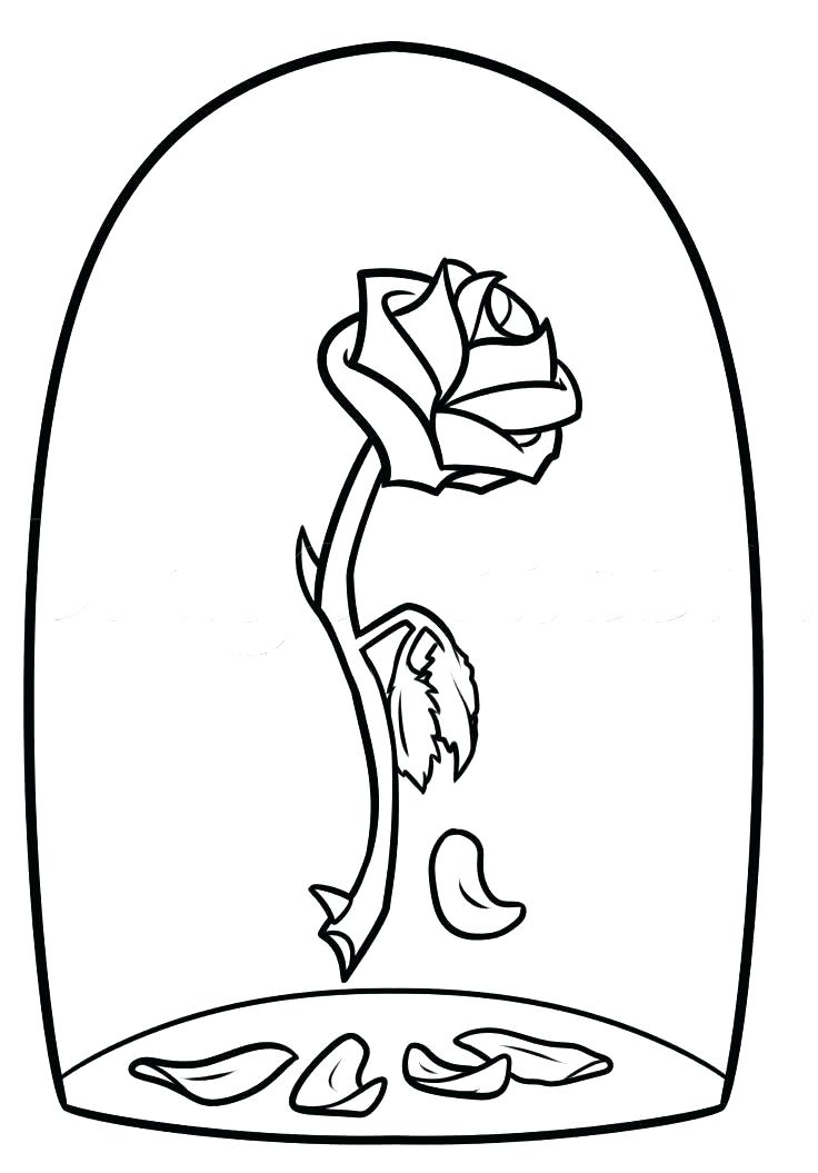 Simple Rose Coloring Pages Free Coloring Compass Rose Coloring 736x1055 Simple Rose Coloring Pages Free Coloring Compass Rose Coloring