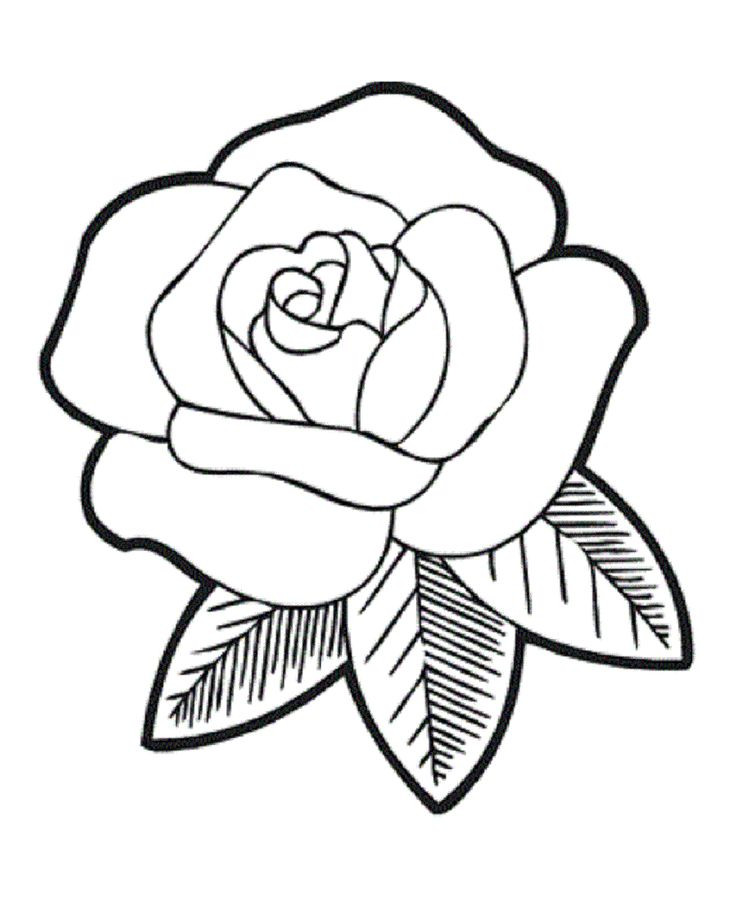 Simple Rose Coloring Pages Printable Of Flowers For Kids World 736x900 Simple Rose Coloring Pages Printable Of Flowers For Kids World
