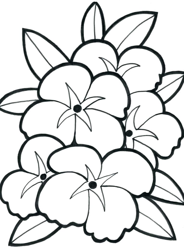 Coloring Pages For Kids Flowers Simple Flower Coloring Pages Kids 765x1024 Coloring Pages For Kids Flowers Simple Flower Coloring Pages Kids