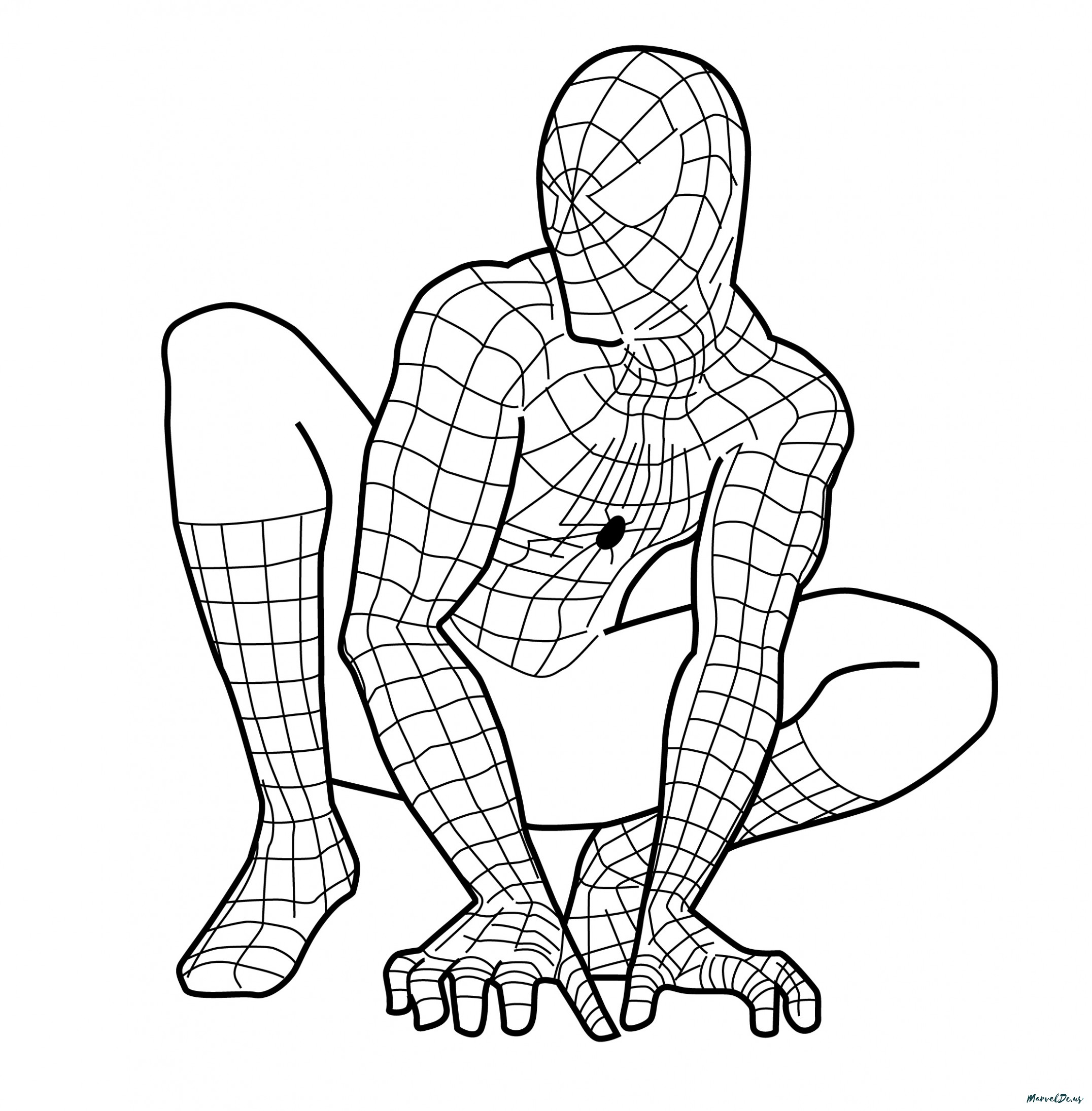 2152x2190 Simple Guidance For You In Spider Heroes Of Marvel And Dc