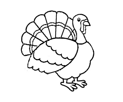Thanksgiving Coloring Pages 500x416 Thanksgiving Coloring Pages