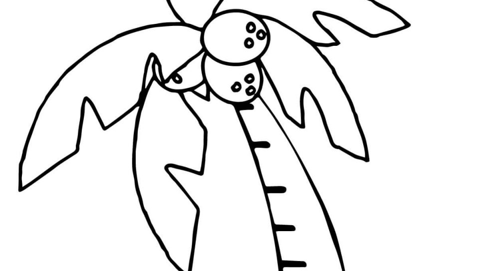 960x544 Free Palm Tree Coloring Pages Printable Pictures Simple Page