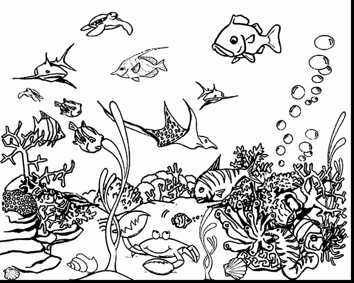1155x924 Wild Shores Singapore Awesome Marine Colouring Sheet G Sea Ocean