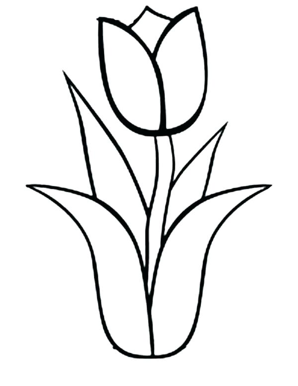 Single Flower Coloring Pages at GetColorings.com | Free printable ...