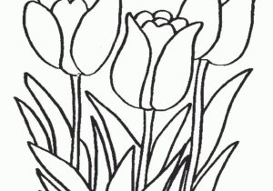 300x210 Latest Lotus Flower Coloring Pages Free Flower Coloring Pages