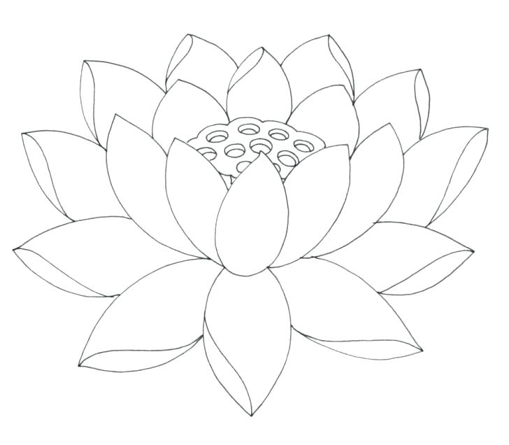 728x636 Lotus Flower Coloring Page Easy Flower Coloring Pages Easy Flower