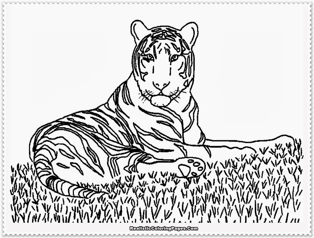 1066x810 Realistic Coloring Pages Luxury Realistic Siren Coloring Pages