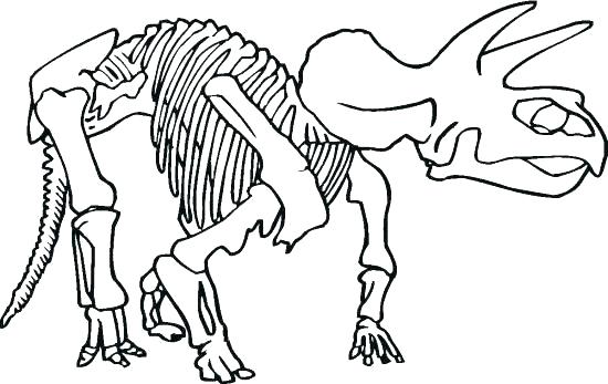 550x347 Skeletal System Coloring Page Skeletal System Coloring Pages