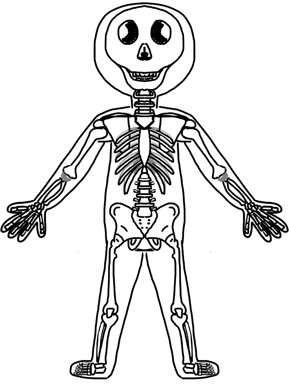 936x1248 3rd Grade Human Body